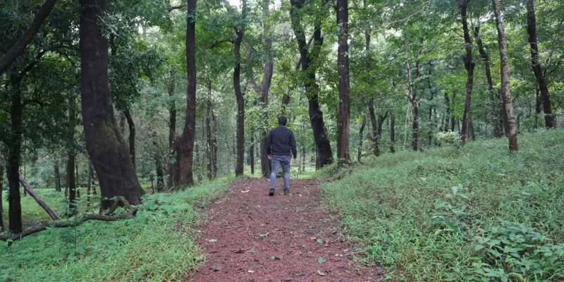 View of Mollem National Park