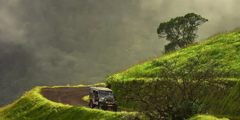 View of Mookambika Wildlife Sanctuary