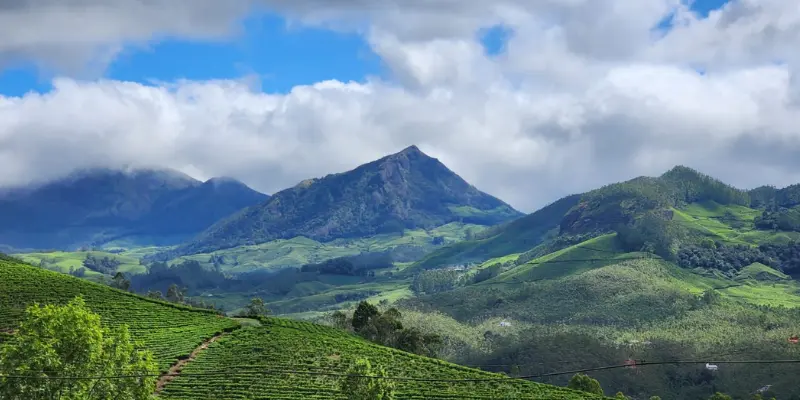View of Munnar Hills