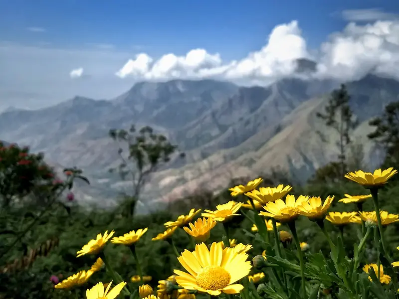 Nagalapuram Hill station near Chennai