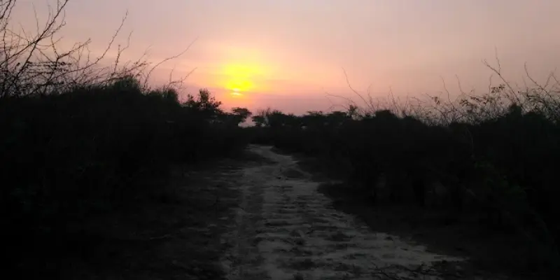 View of Nahar wildlife sanctuary