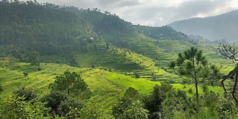 View of Nandini wildlife sanctuary
