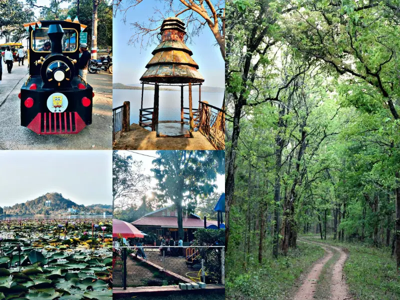 Visit navegaon national park in Nagpur
