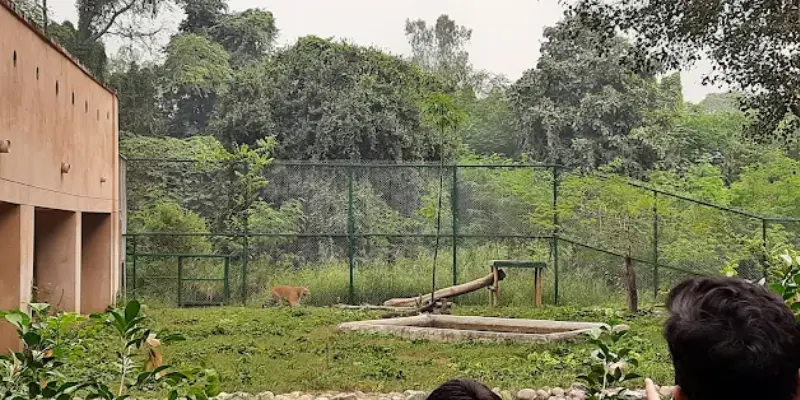 View of Nawab Wajid Ali Shah Zoological Garden