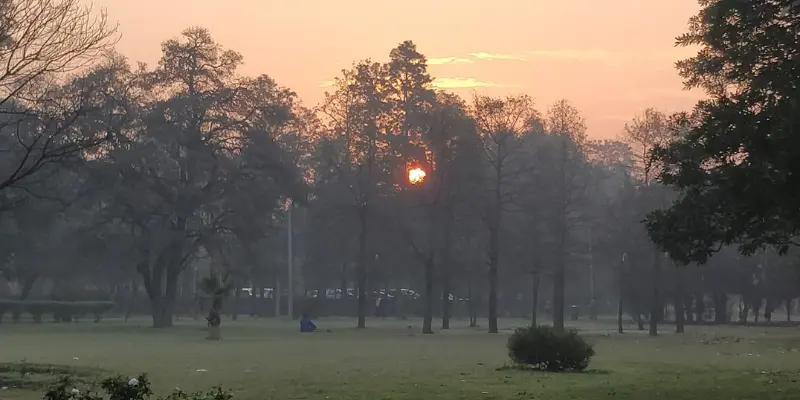 View of Nehru Rose Garden
