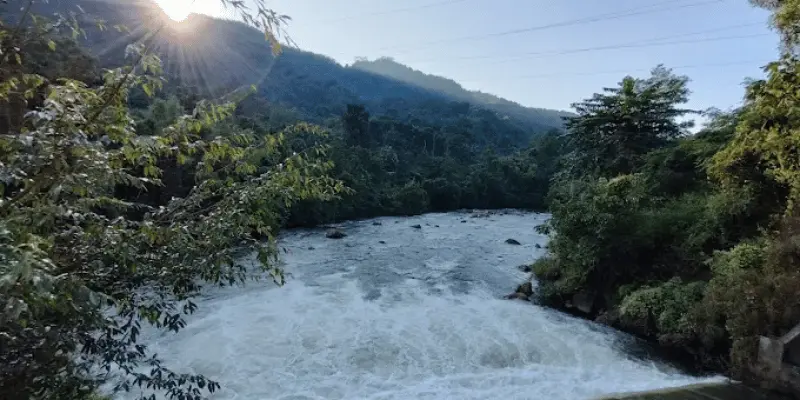 View of Nongkhyllem wildlife sanctuary
