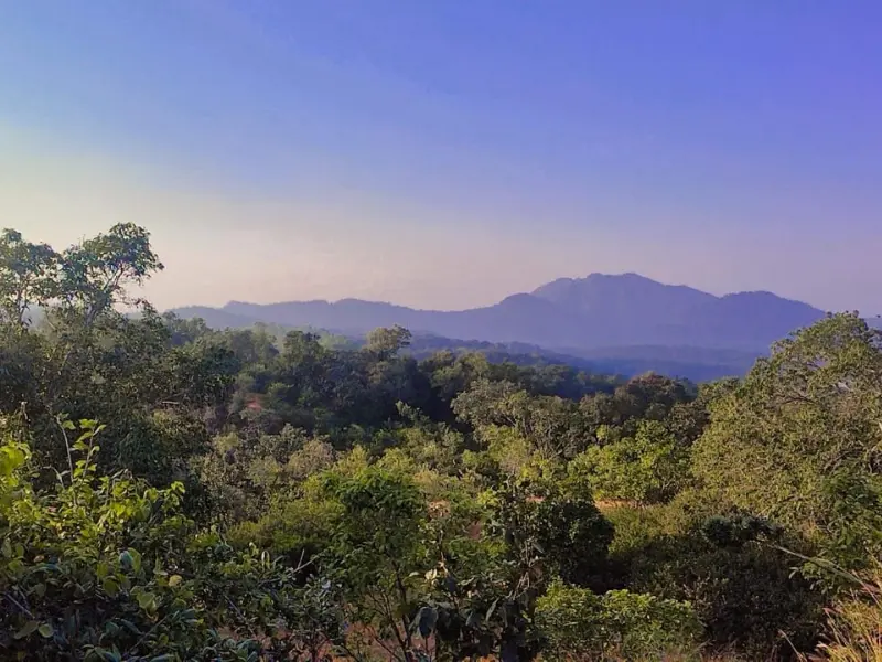 Visit Pachmarhi Near Indore