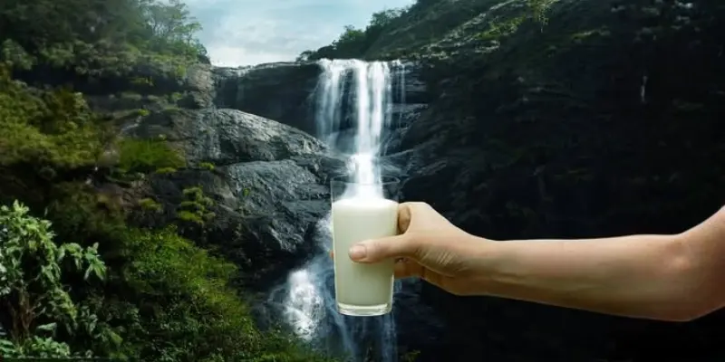 Palaruvi Waterfalls View View of Palaruvi waterfall
