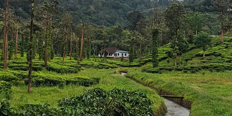 View of Peermade hill station