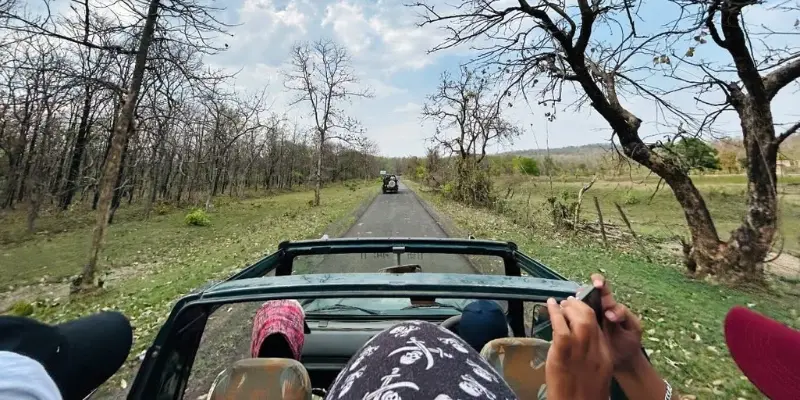 Visit Pench National Park in Nagpur