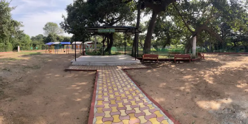 View of Pillalamarri Banyan Tree