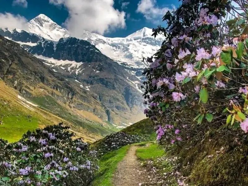 Moderat pindari glacier trek in uttarakhand