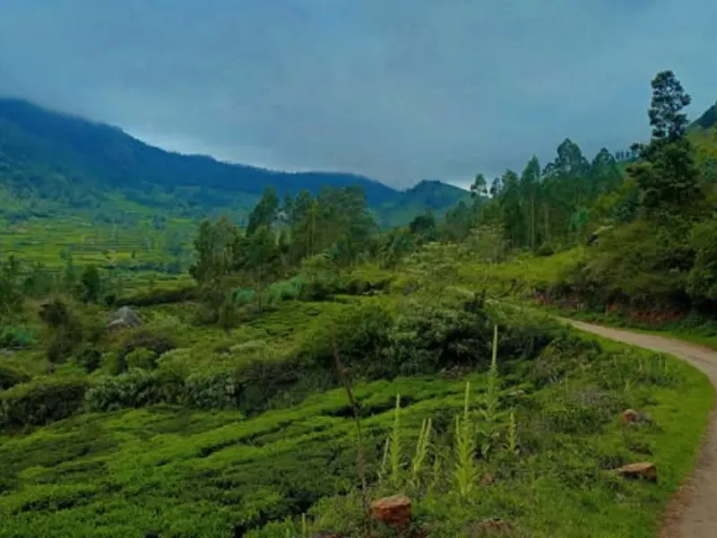 Visit places near Bangalore for weekends