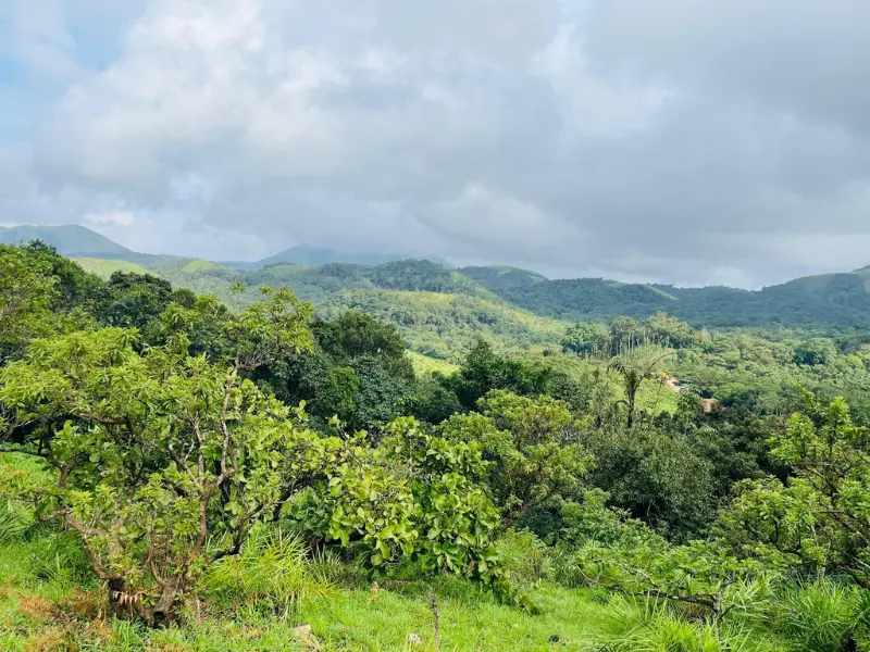 Top Tourist Places to Visit Near Bangalore