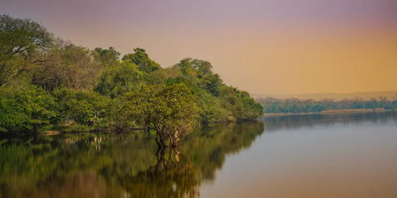 Tourist places near Hanamkonda within 50 Kms