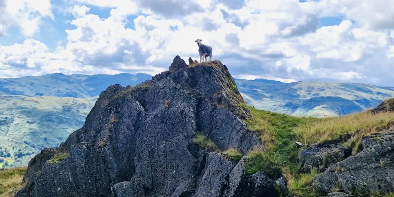 Tourist places near Junagadh within 100 kms