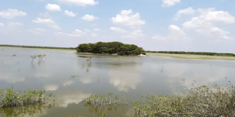 Places To Visit Near Kumbakonam Within 100 Km Tourist places near Kumbakonam within 100 Km