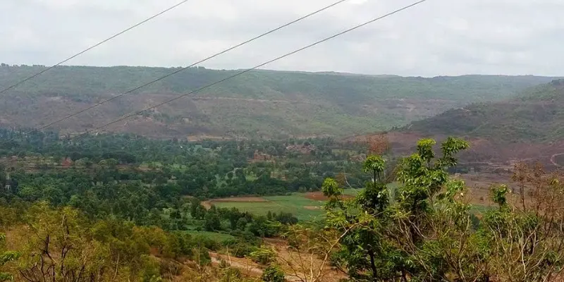 Tourist places near Pali within 100 km