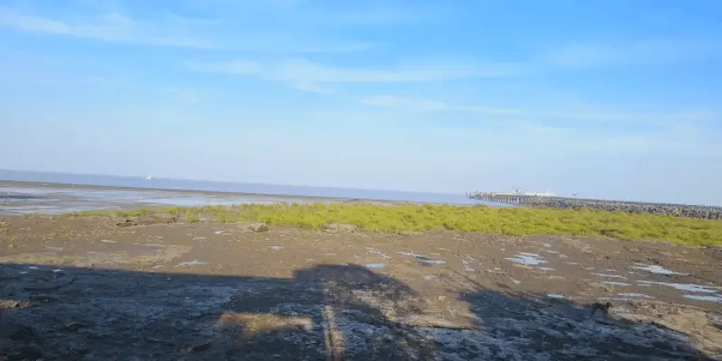 Tourist places near Palitana within 100 km