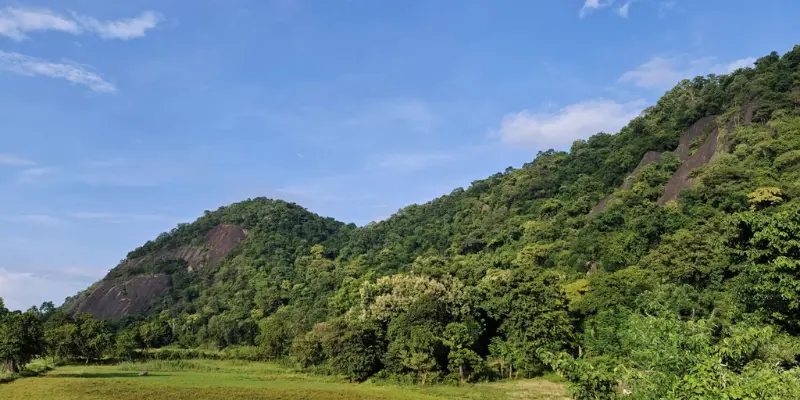 Pobitora Wildlife Sanctuary Visit Pobitora wildlife sanctuary