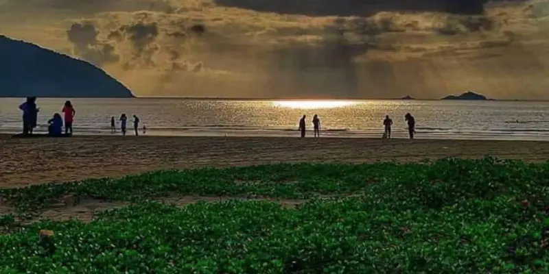 View of Rabindranath Tagore Beach