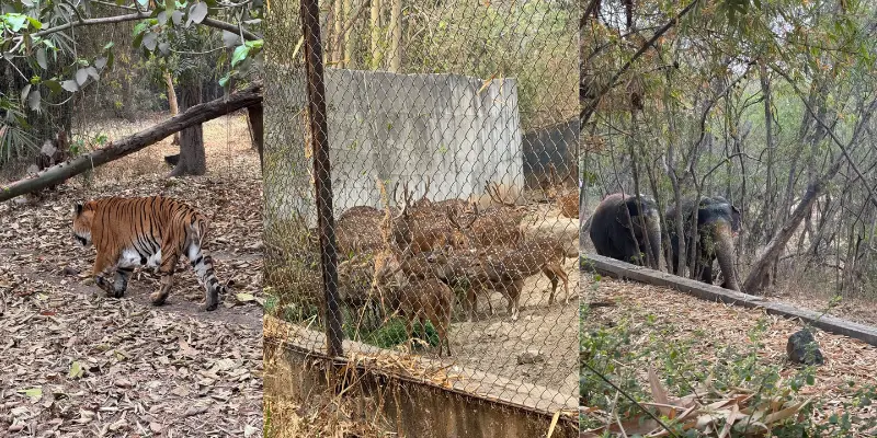 View of Rajiv Gandhi Zoological park