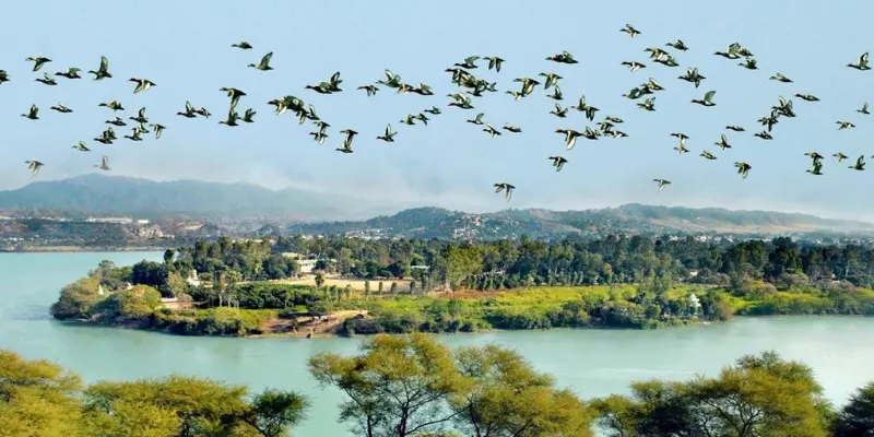 View of Samaspur bird sanctuary