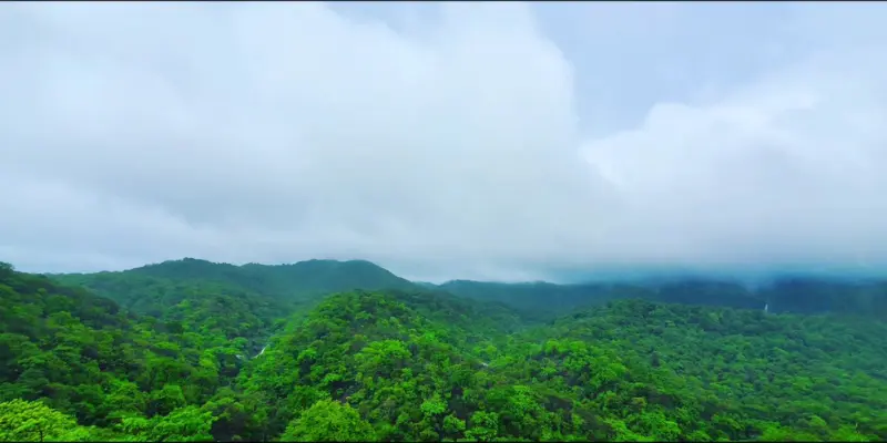 View of Sanjay Gandhi National Park