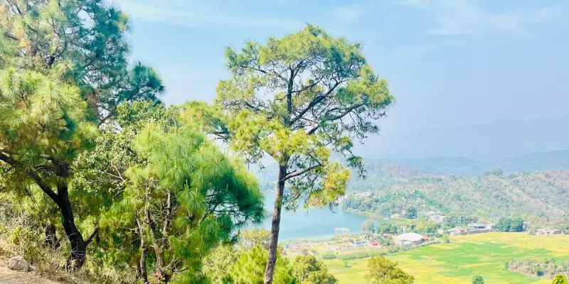 View of Surinsar lake