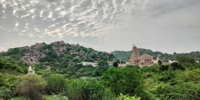View of Taranga Hills