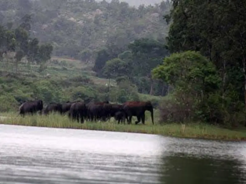 Visit Thattekere Lake near Bangalore