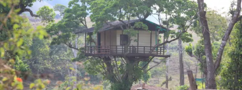 Thekkady Kerala Thekkady Kerala