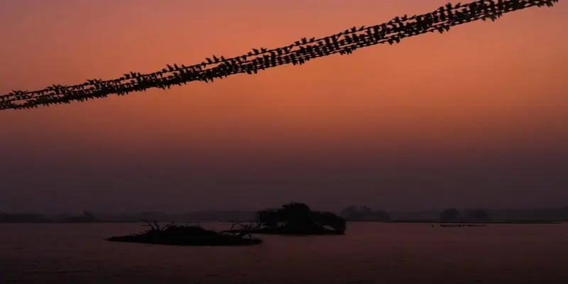 View of Thol bird sanctuary