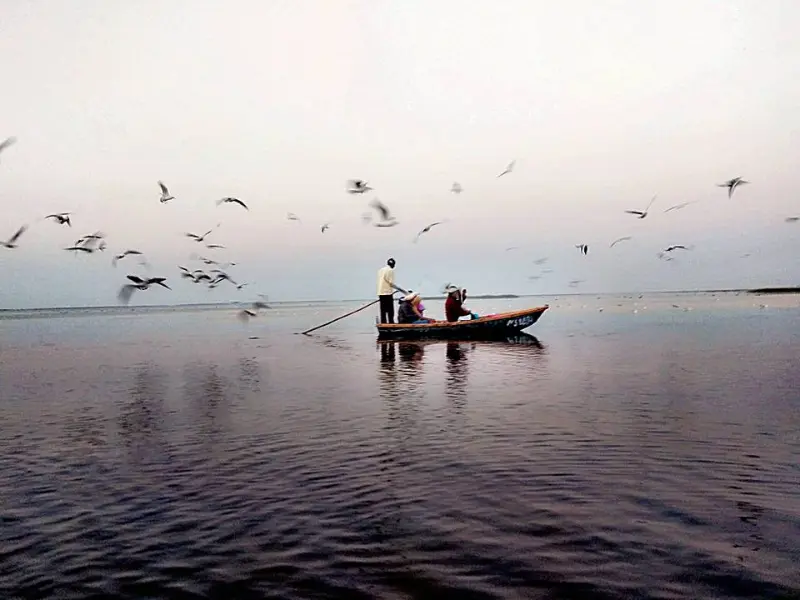 Visit Thol Lake Birk Sanctuary Near Ahmedabad