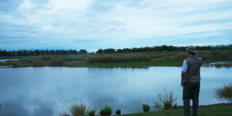 View of thol lake bird sanctuary