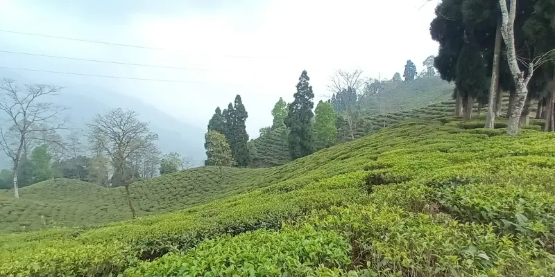 View of Tinchuley hills