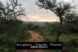 Exploring the Top Tourist Places to Visit Near Gurgaon Within 100 Km