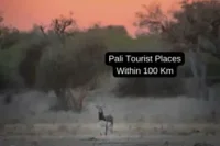 Exploring the Top Tourist Places to Visit Near Pali Within 100 Kms