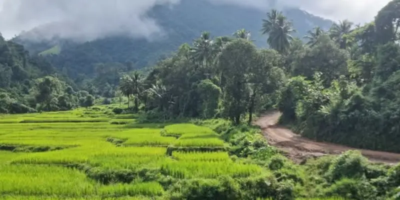 Visit Tribal Village near Chamarajanagar Hill Station