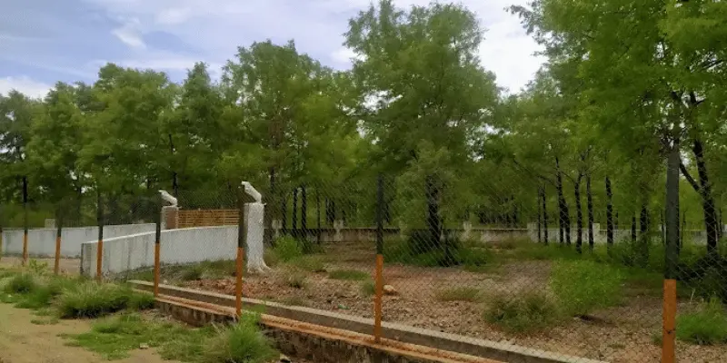 Trichy Zoological Park View View of trichy zoological park