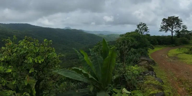View of Tungareshwar Wildlife Sanctuary