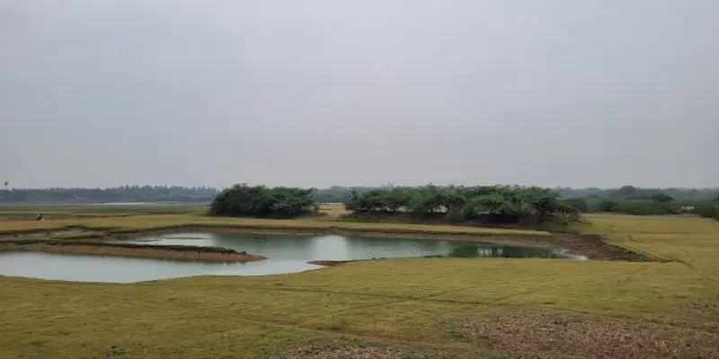 View of Vaduvoor bird sanctuary
