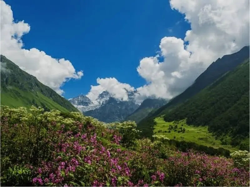 Moderat valley of flowers trek in uttarakhand