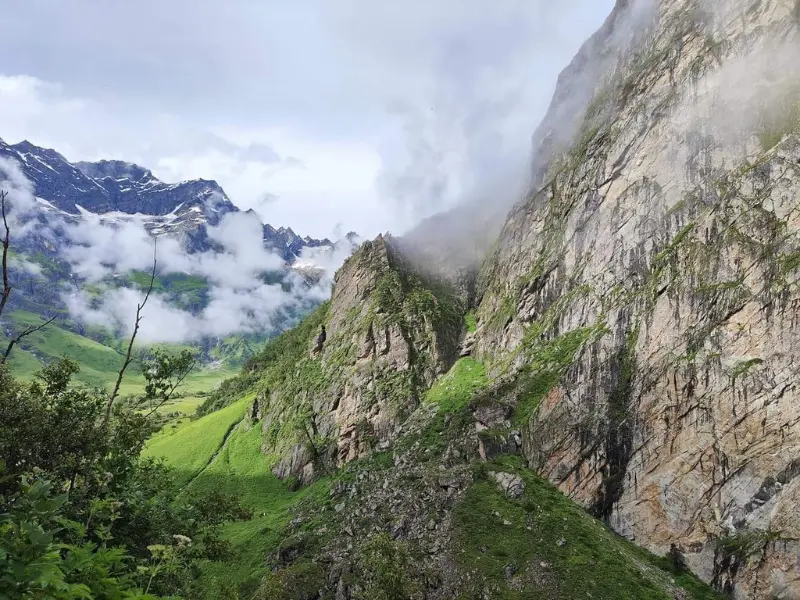 Spring Trek valley of flowers