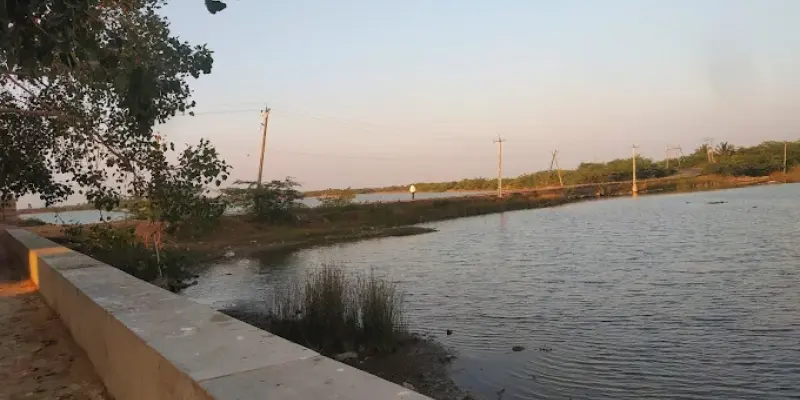 View of Velan Wetland