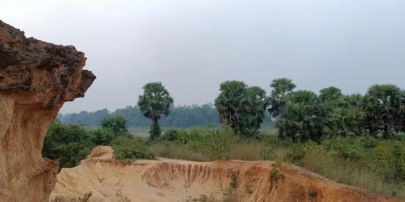 Views of Joypur Forest