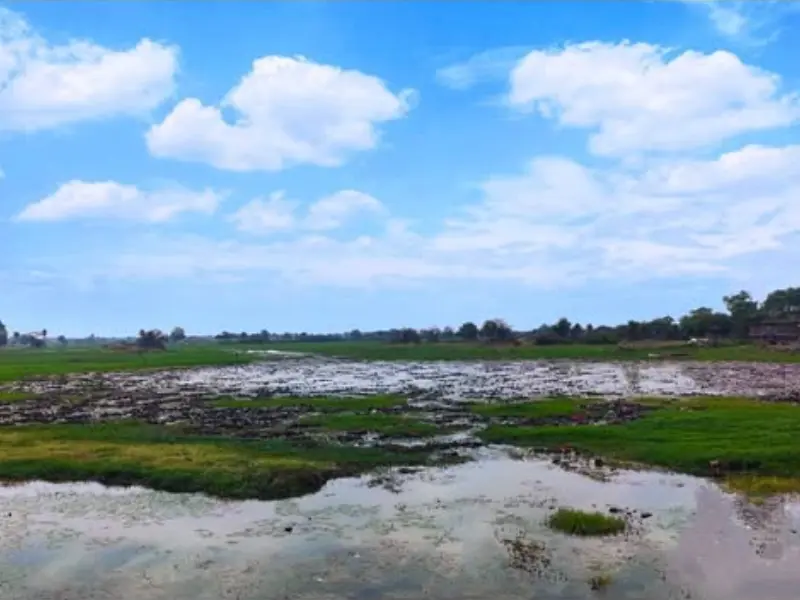 Best place Gulawat Lotus Valley near Indore