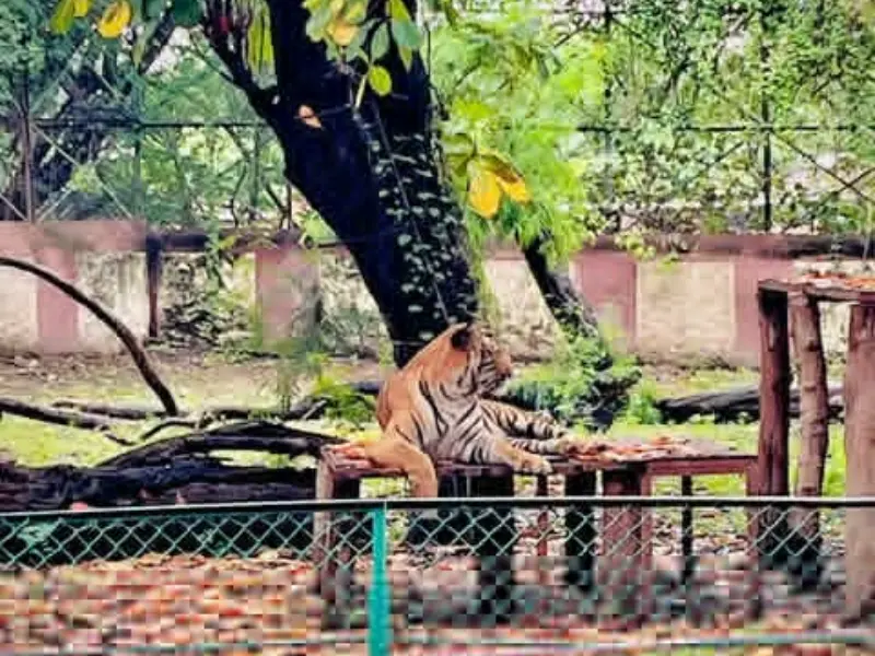 Siddharth Garden Zoo to visit Near Shirdi