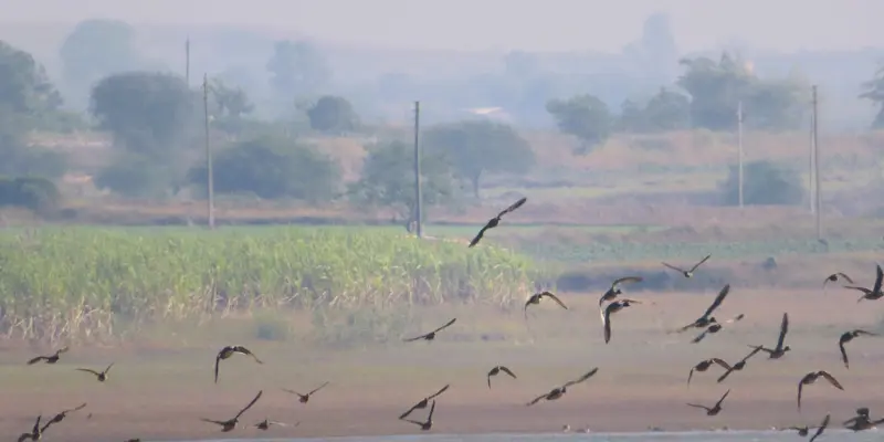 View of Waghad Dam
