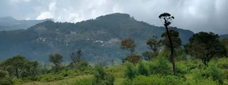 yercaud tamil nadu